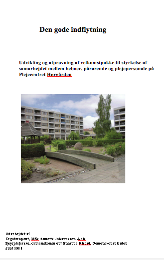 rapport den gode indflytning